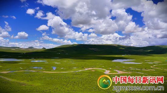 这是7月29日拍摄的查旦湿地。新华社记者 邱婧熠 摄